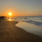 El Palmar 183 *