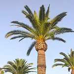 El Palmar 183 * 德尼亚