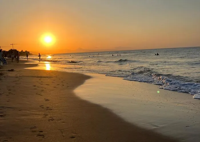 El Palmar 183 *