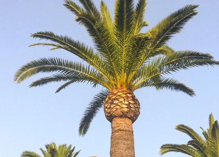 El Palmar 183 * Denia